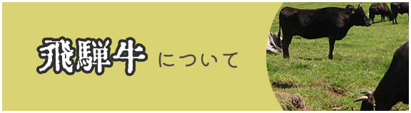 飛騨牛について